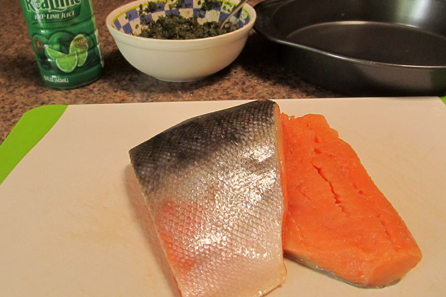 Salmon Filets with Chimichurri Sauce